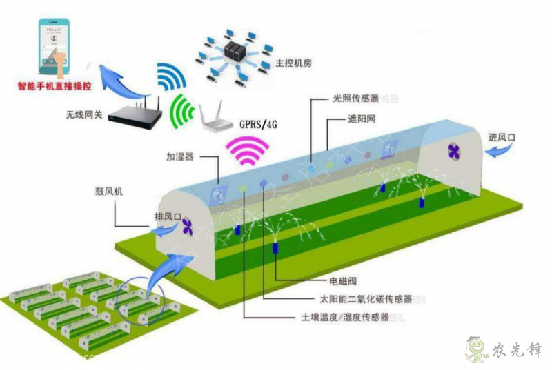 給農(nóng)業(yè)大棚裝上物聯(lián)網(wǎng)無線傳感器