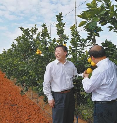 國家現代農業（柑橘）首席科學家鄧秀新數十年助力農民增收