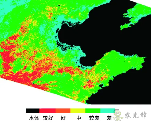 中國遙感衛星再添新成員 看TA在太空如何對農作物“稱斤計兩”？