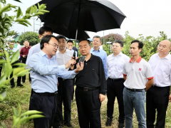 唐仁健：做大做強特色產業(yè)，扎實推進鄉(xiāng)村建設