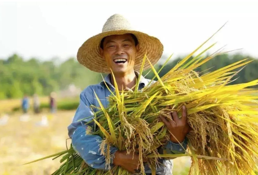 鄉(xiāng)村振興缺人才，加強推進人才走進鄉(xiāng)村