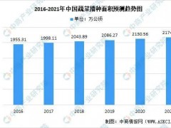 【創業復盤】搞農業，多大規模合適？