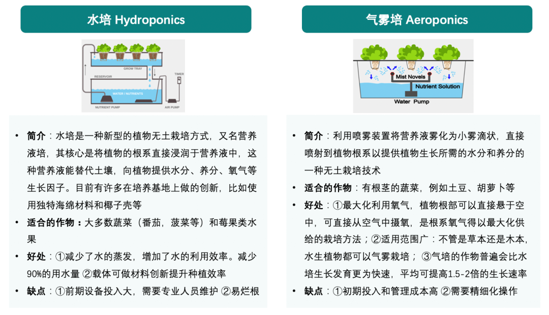 靠“種菜”吸引千萬(wàn)美元融資！揭秘Gardyn公司的品牌發(fā)展之路