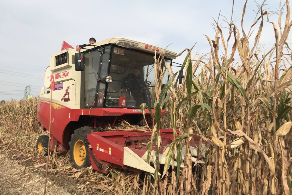 硬核！農業(yè)農村部“點名”三種農機，打破國外壟斷！