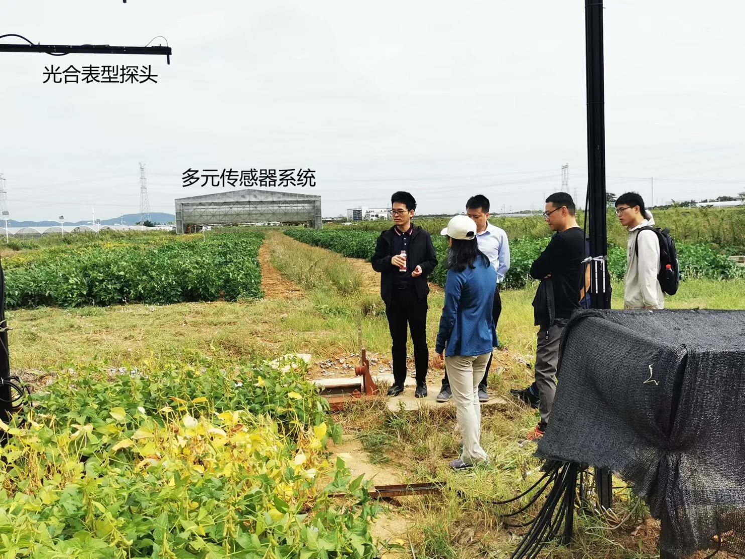 “元宇宙”里也可育種 南京農(nóng)業(yè)大學(xué)數(shù)字技術(shù)賦能農(nóng)業(yè)科研