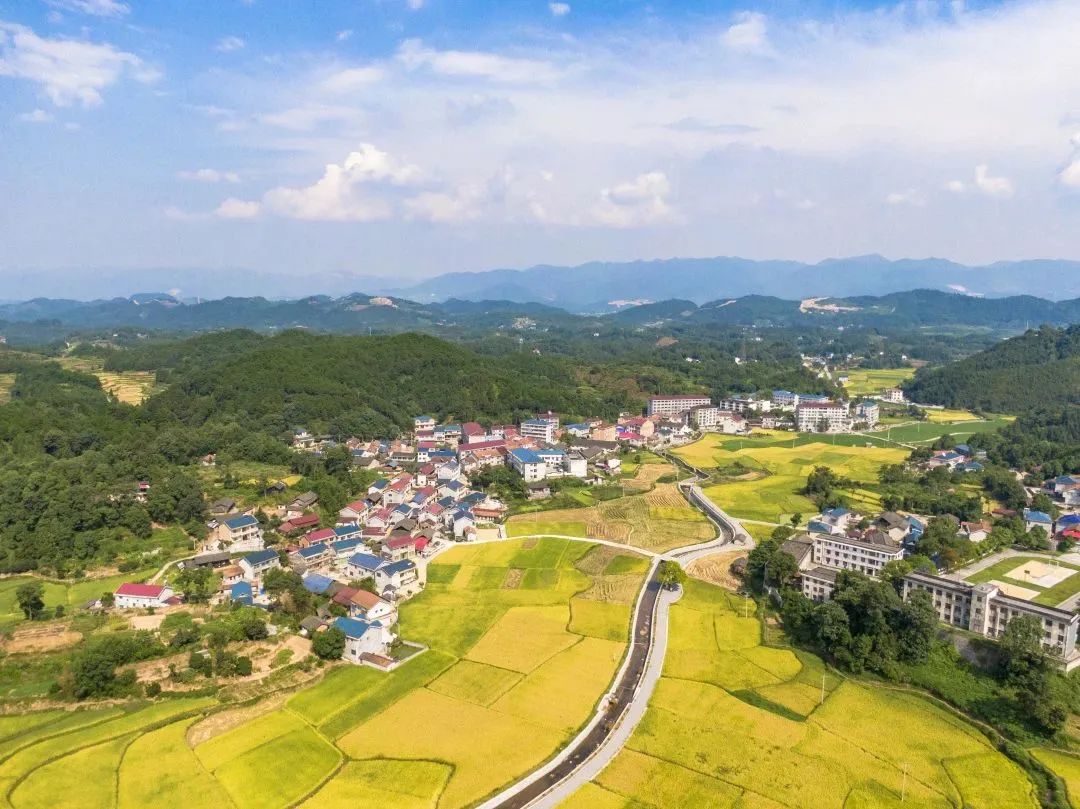 我國鄉(xiāng)村人口變動趨勢及其對鄉(xiāng)村建設的影響